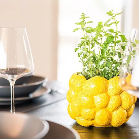 Penthouse Mit Traumhafter Terrasse Klimatisiert *